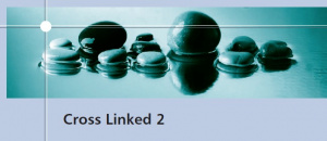 Распродажа акриловых двухслойных зубов Cross Linked 2 производства Polident (Словения)