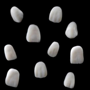 N-ARCHITECT WAX-UP ASSISTANT ANTERIOR