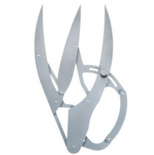 Циркуль "ЗОЛОТОЕ СЕЧЕНИЕ"